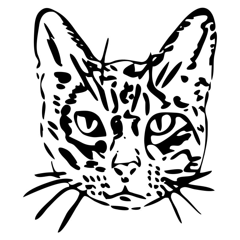 Chat, minou, minou, cadeau, idée cadeau