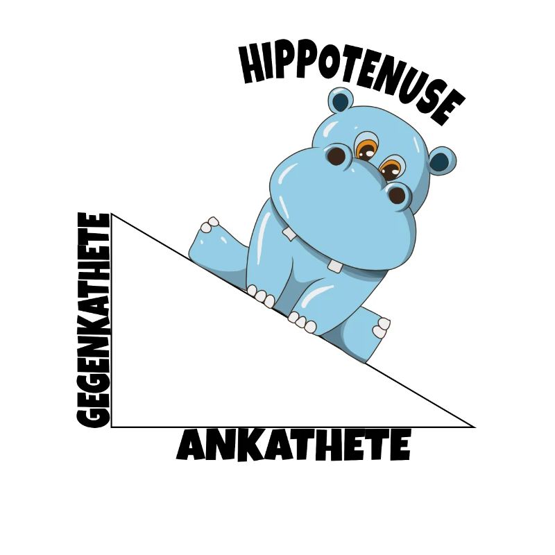 Mathe Hippotenuse Winkelfunktion Hypotenuse Hippo