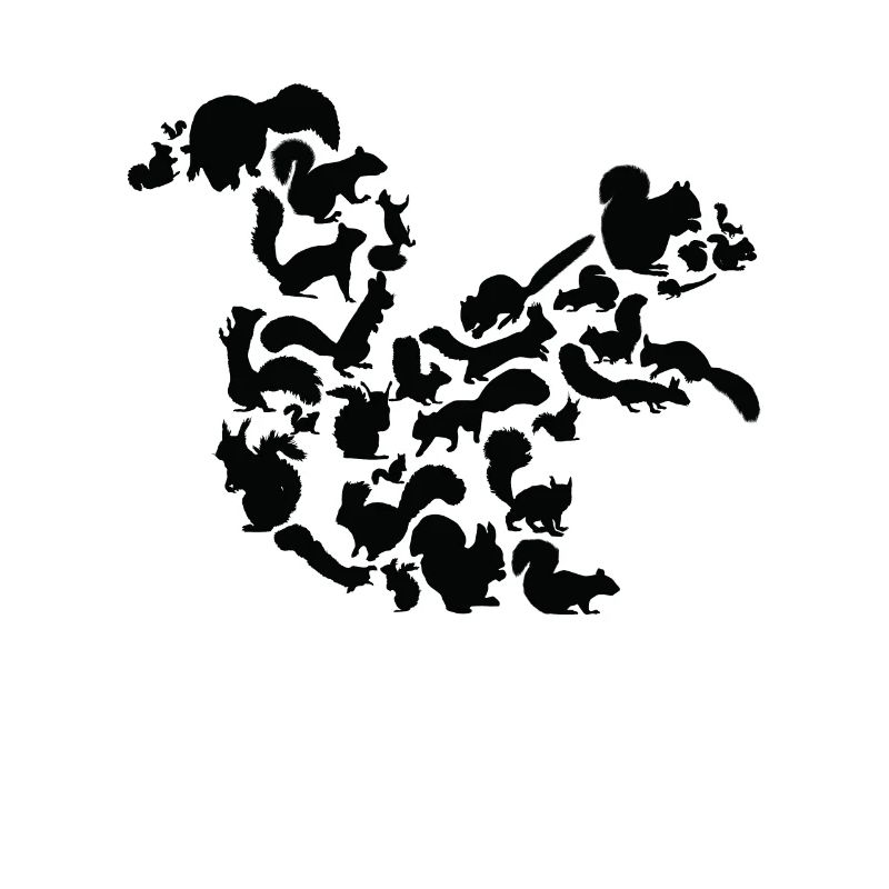 Eichhörnchen Wald Wildtier Tier Eichhörnchen