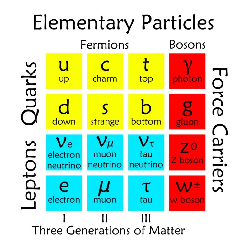 Elementary Particles