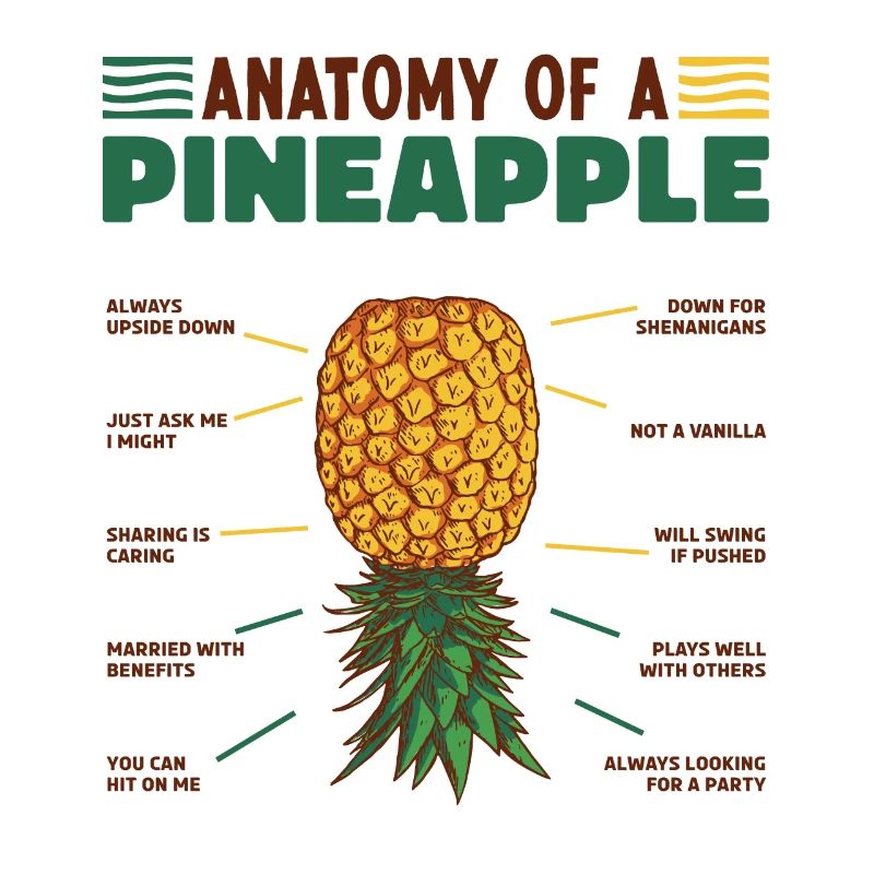 Anatomie d’un ananas à l’envers Ananas