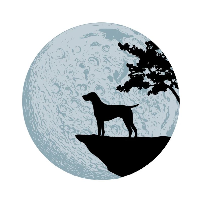 German shorthaired pointer