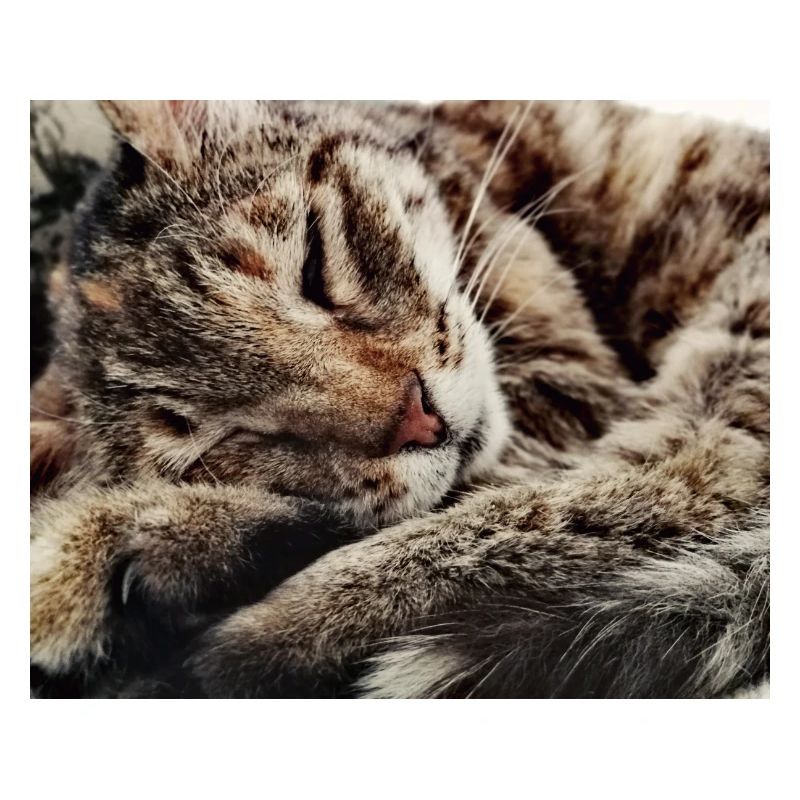 confortable