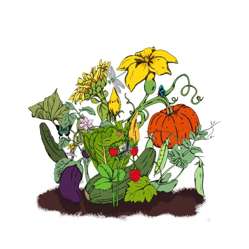 Plants Garden Vegetables Fruit Nature Gift Idea