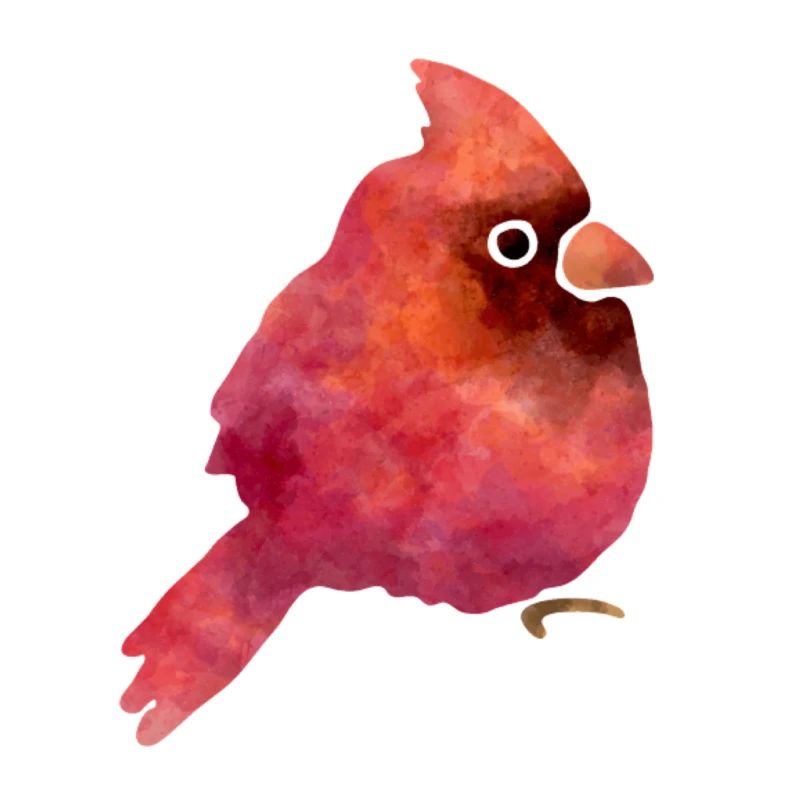 Oiseau mignon
