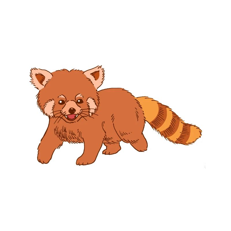 Roter Panda