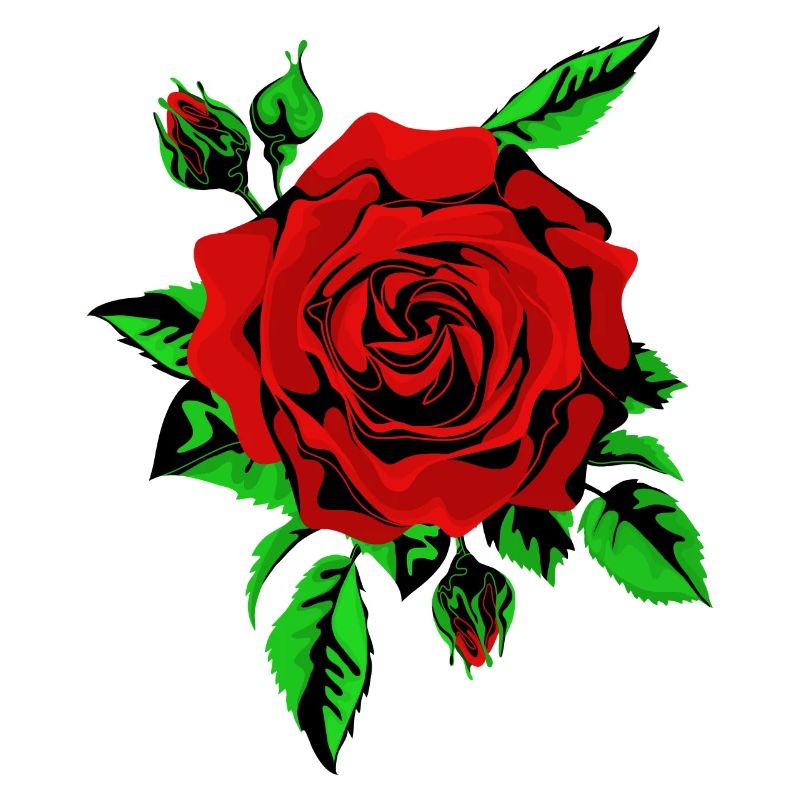 Red Rose