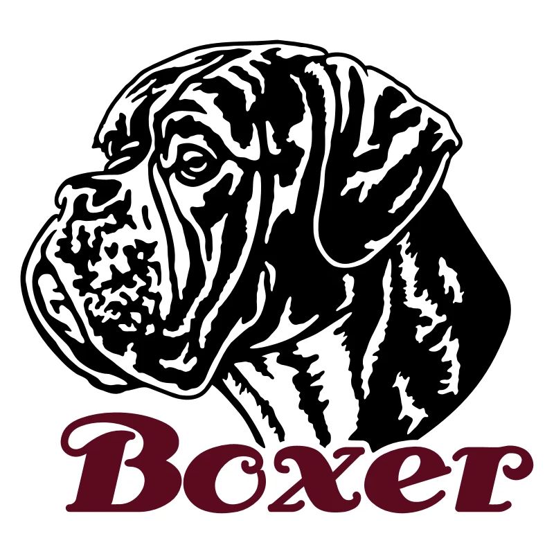 588 Boxer