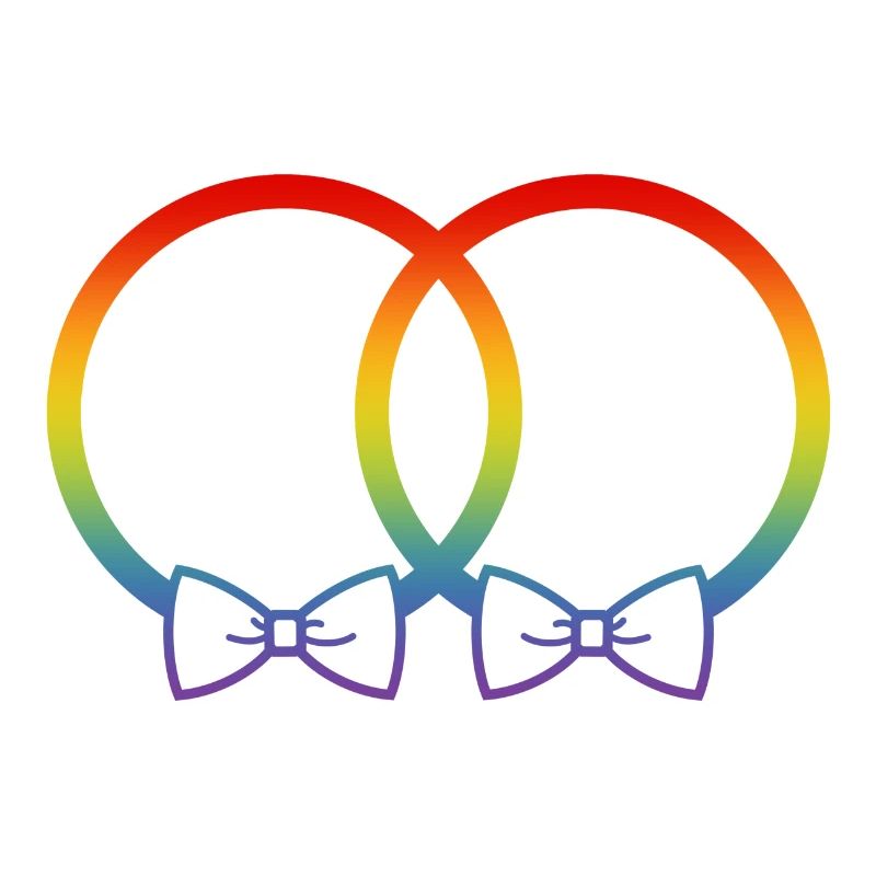 LGBT Eheringe Hochzeit JGA Paar Regenbogen Fliege