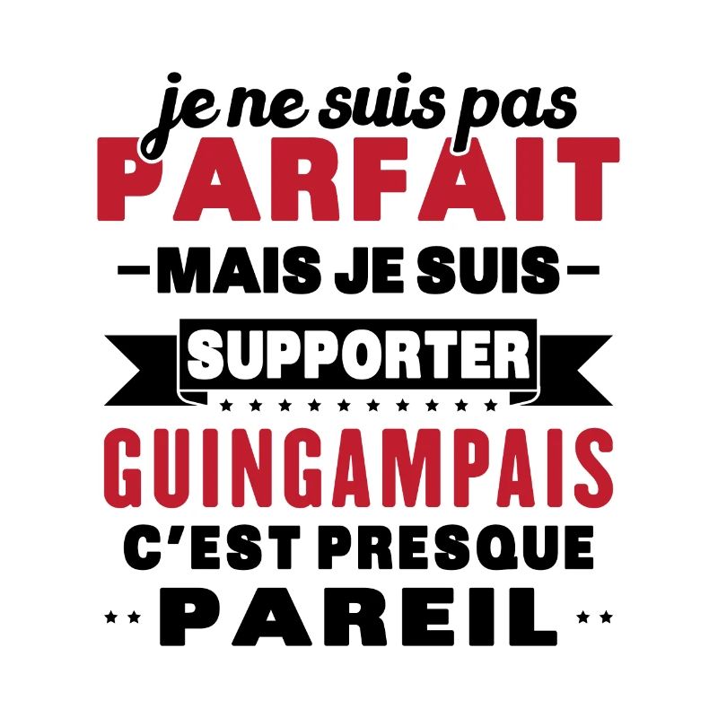 Nicht perfekt, aber ich bin ein Guingamp-Fan