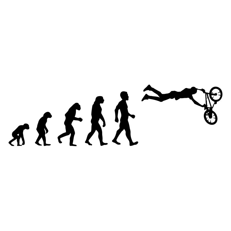 Evolution BMX Cascade