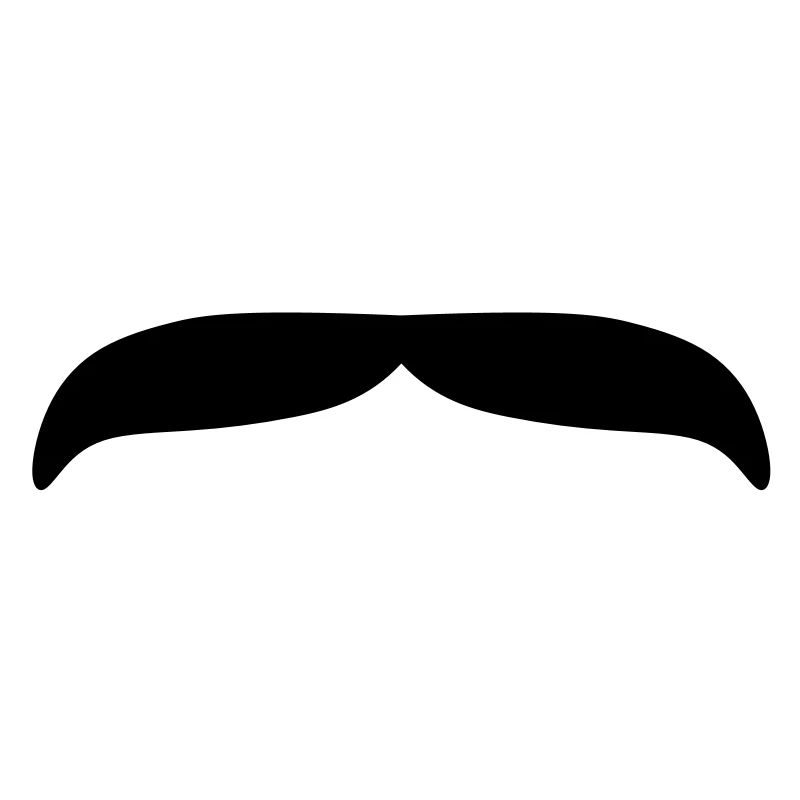 Moustache 2