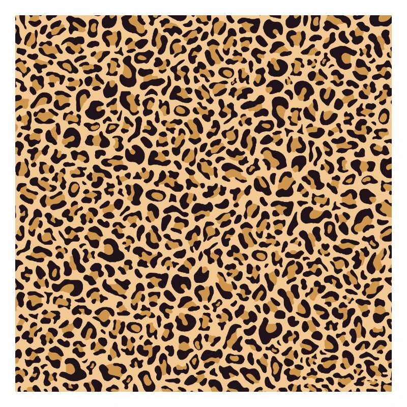 Leopard Pattern | Leopard Print | African Animal