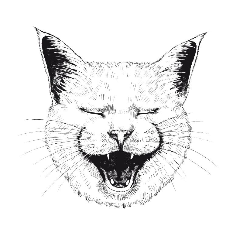 Lachende Katze