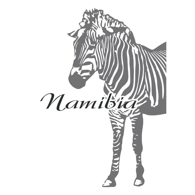 Namibia - Zebra