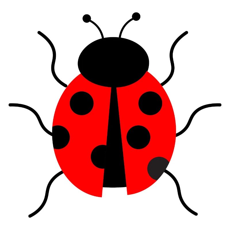 cute lady bug