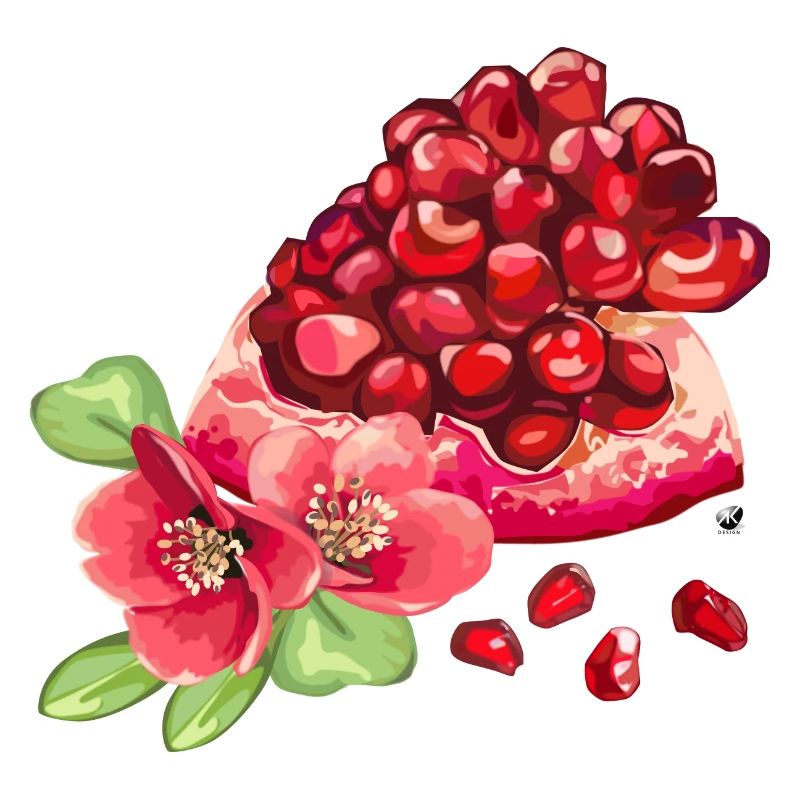 Morceau de grenade, fleurs et graines de grenade
