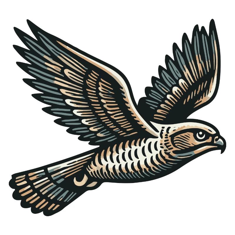 Hawk