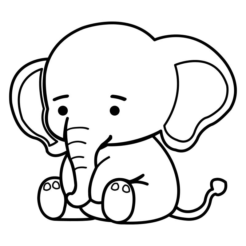cute elephant