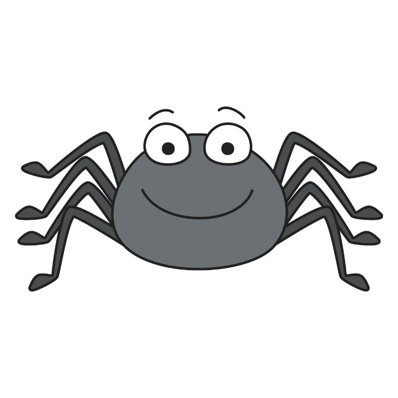spider