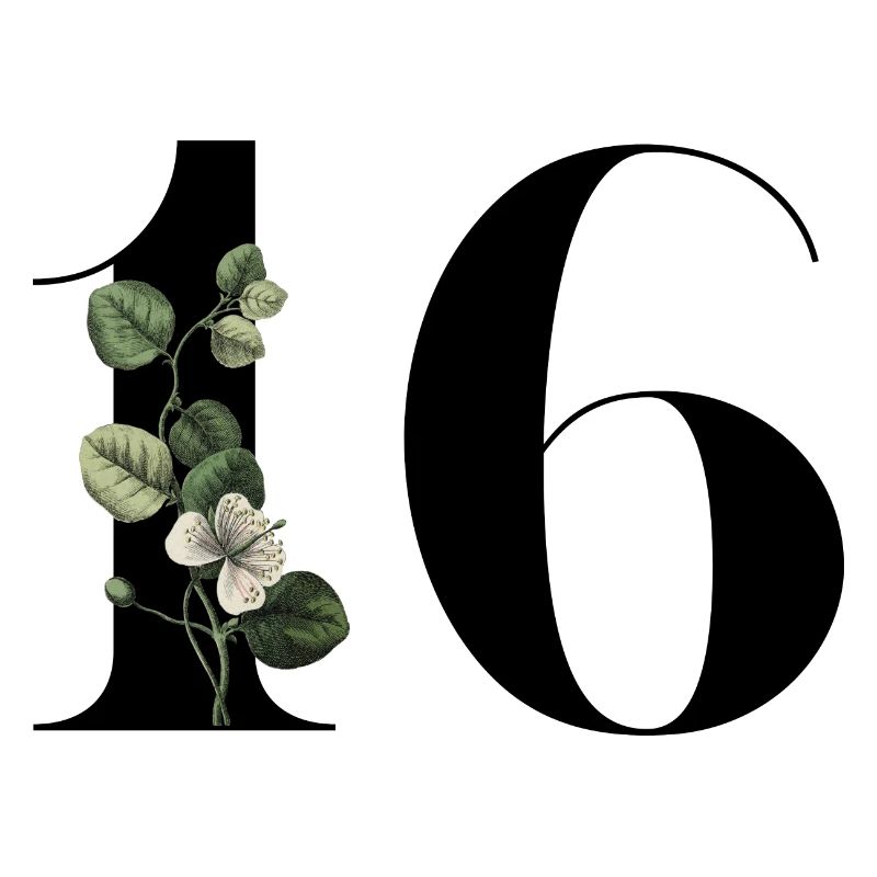 Nummer 16 Blumengrün -16. Blumengeburtstag