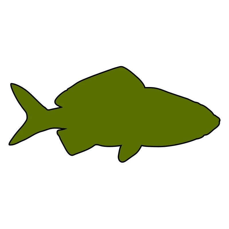 Goldfish