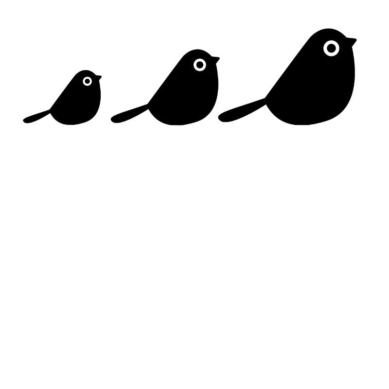 Des oiseaux