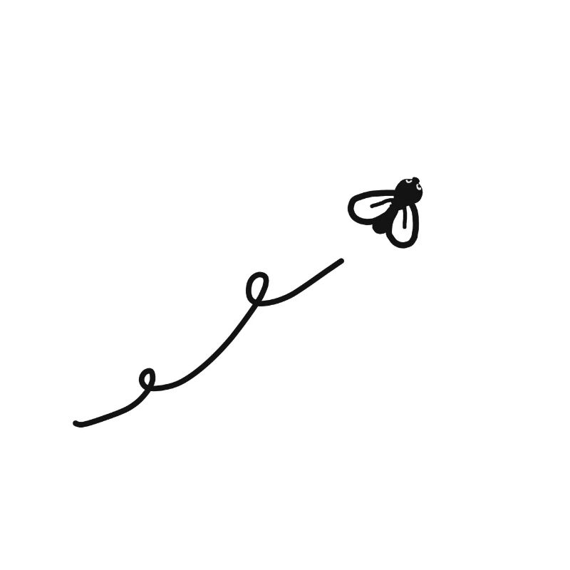 Fliege sumsum