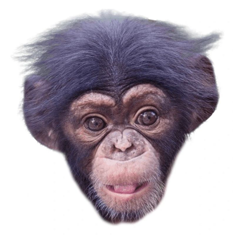 Mode de visage de singe mignon