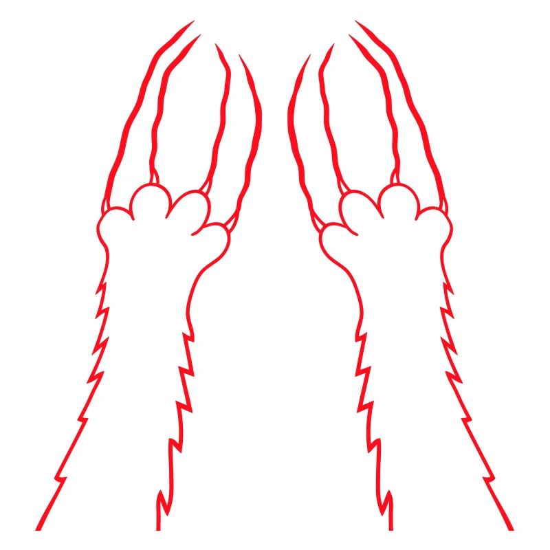 Chats, Griffes, Pattes, Pattes, Griffes, Griffures, Rayures