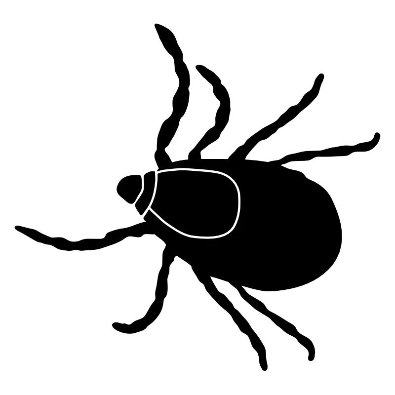 Tick am431