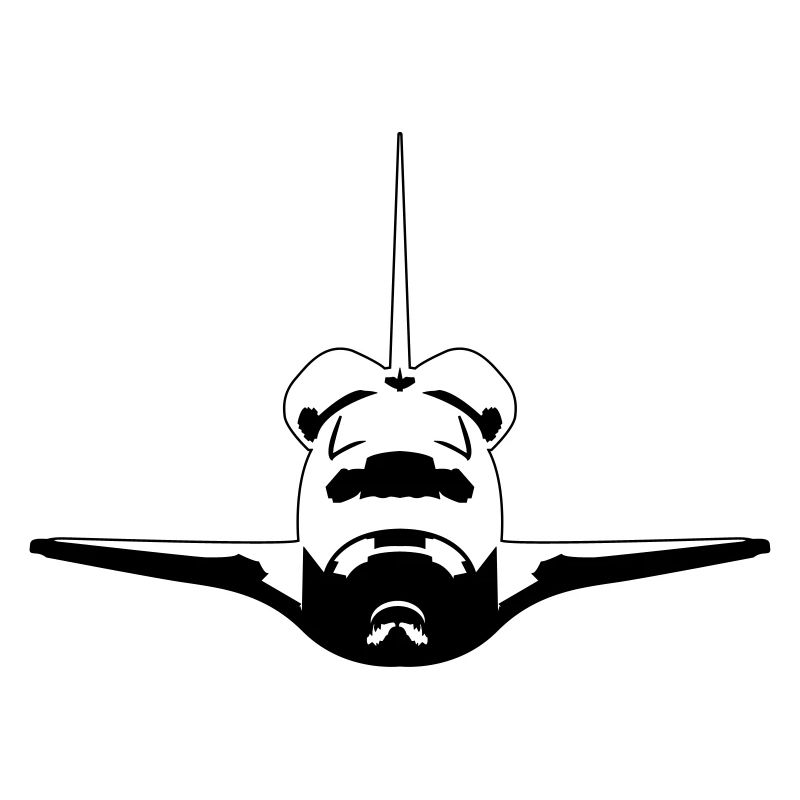 Space Shuttle