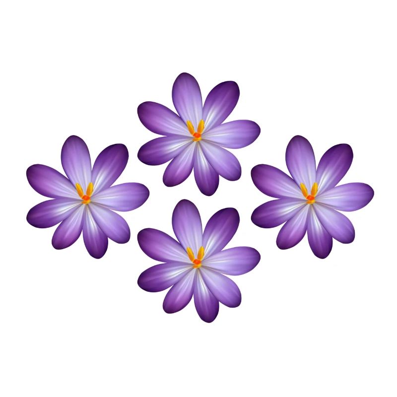 Fleurs, t-shirts de fleur, sweats à capuche de fleur, fleur