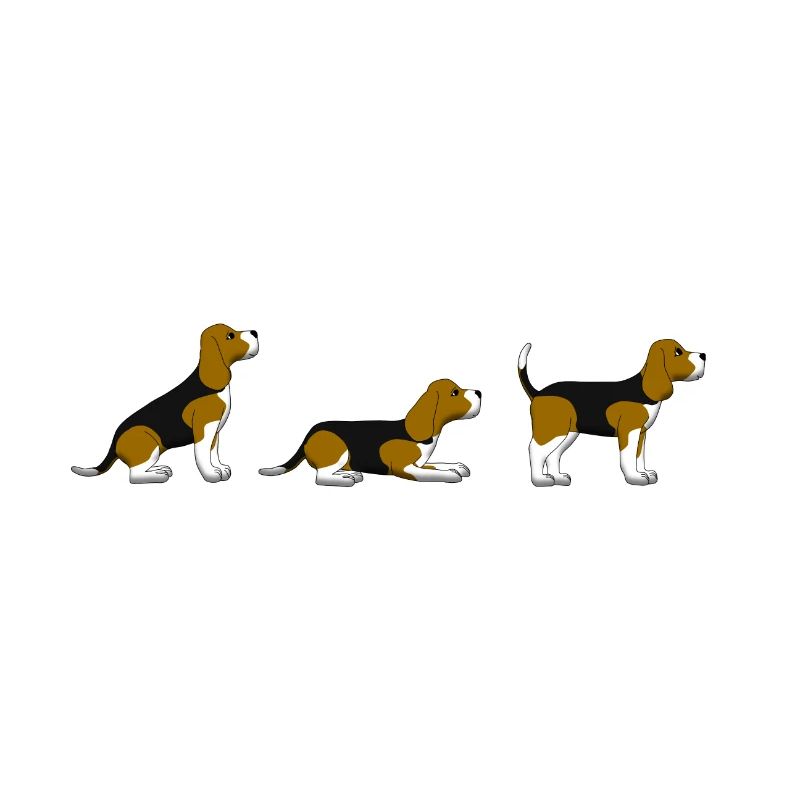 sit down stay beagle 1