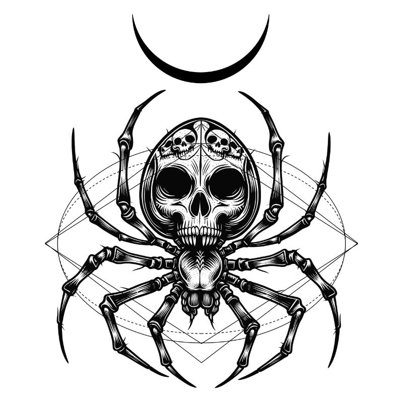 Deadly Bugs | Spider