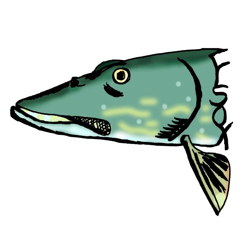 pike