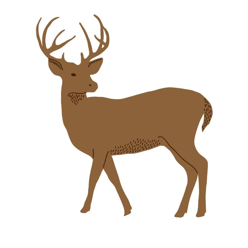 Hirsch