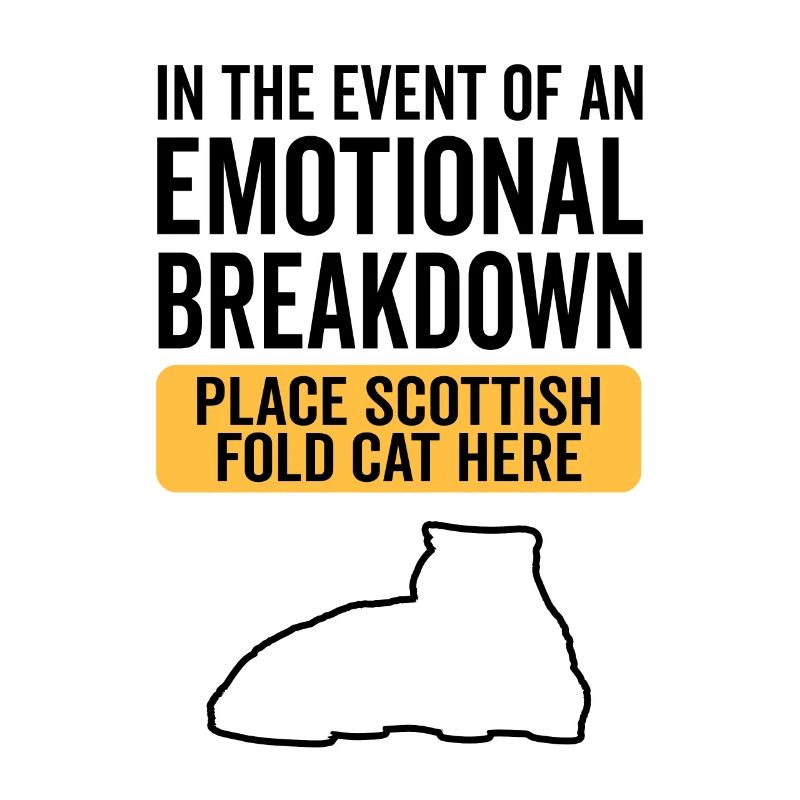 Émotionnel - Scottish Folding Cat