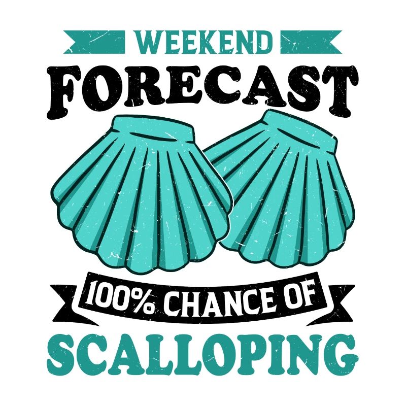 Seashell Shell Collector Scallop