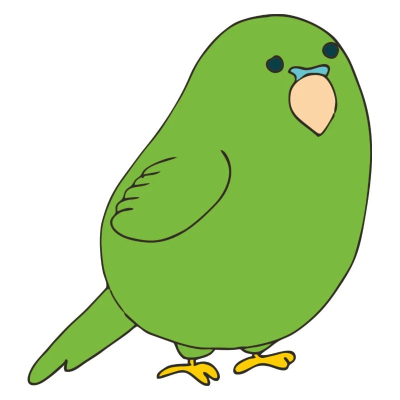 budgerigar
