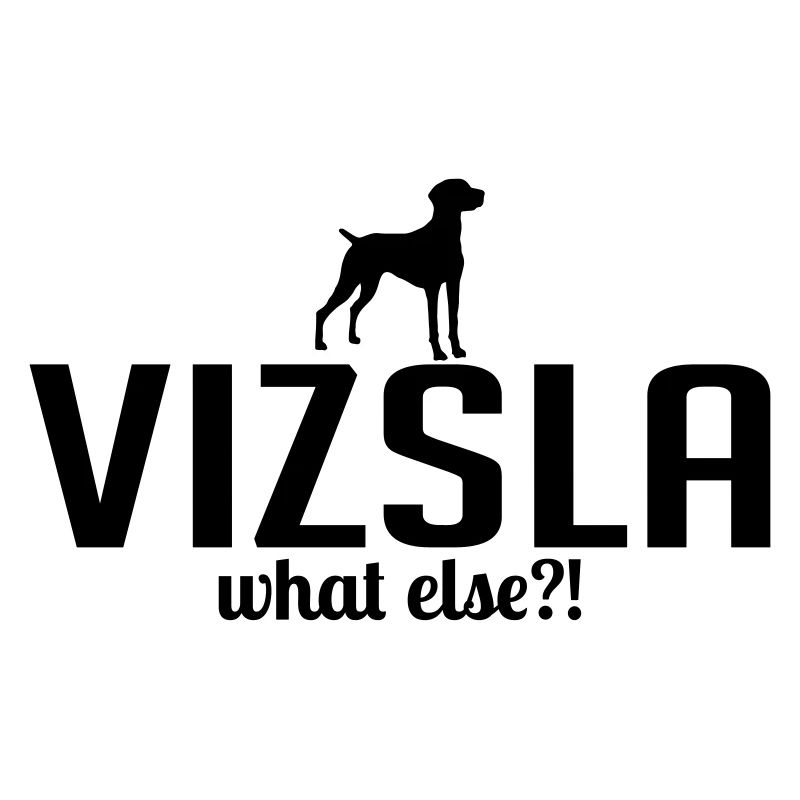VIZSLA what else