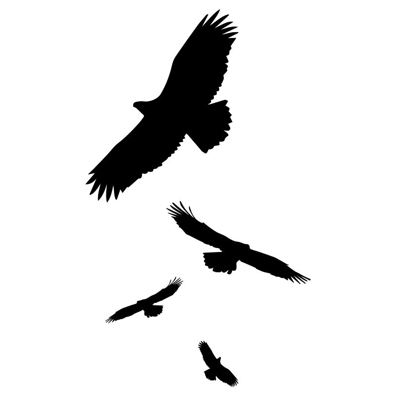 Crows