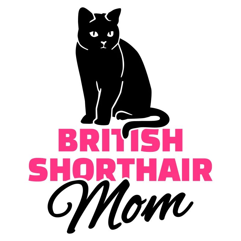 Britisch Kurzhaar Katze