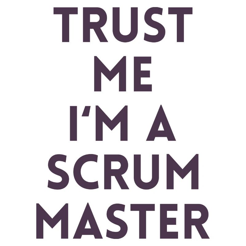Trust me I'm a scrum master Geschenk Computer Code