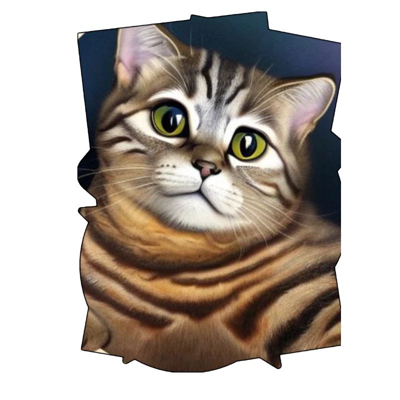 Chat mignon