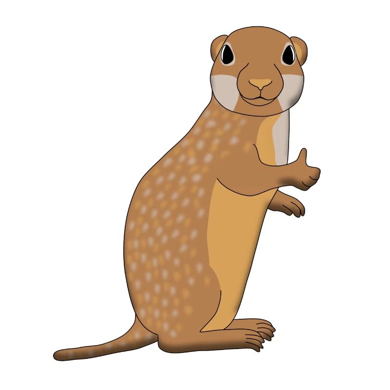 Ground squirrel all clear