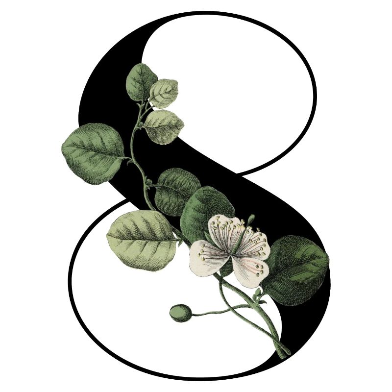 Nummer 8 Grüne Blumen - 8. Blumengeburtstag
