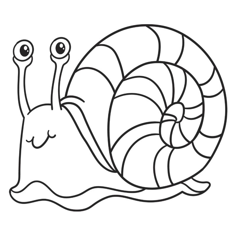 Snail, molluscs, gift, gift idea