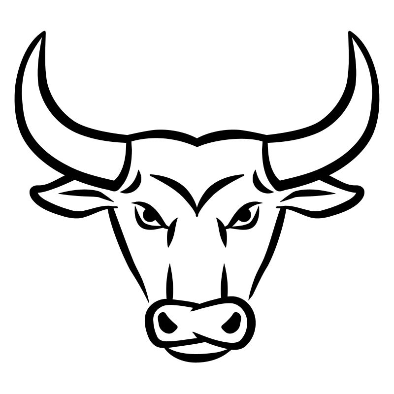 Stier