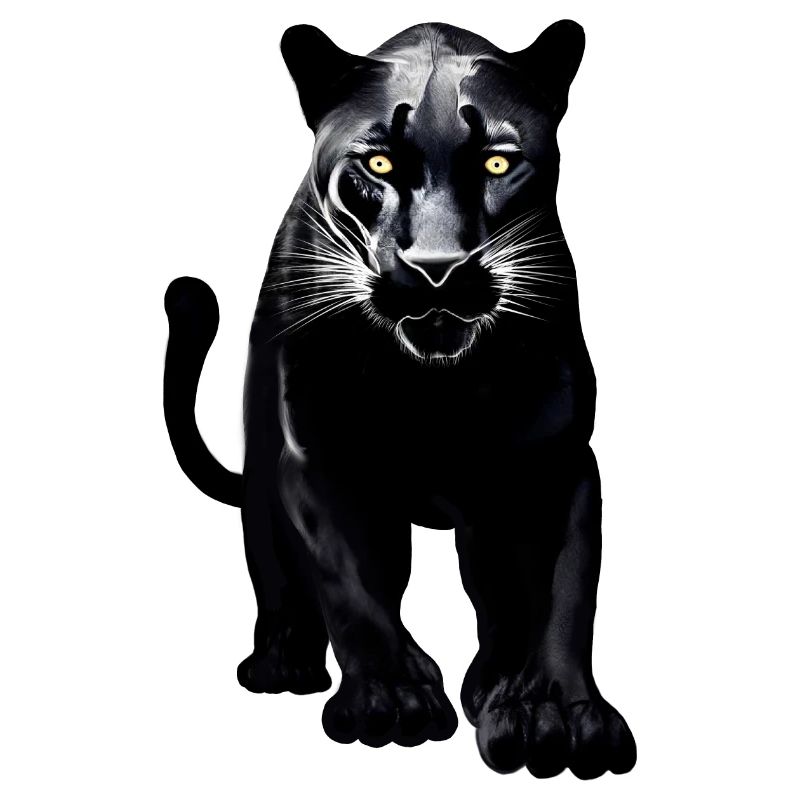 Schwarzer Leopard